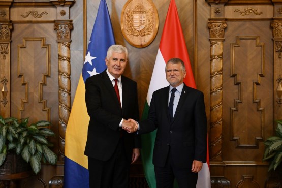 Zamjenik predsjedavajućeg Doma naroda PSBiH dr. Dragan Čović održao sastanak s predsjednikom Nacionalne skupštine Mađarske 